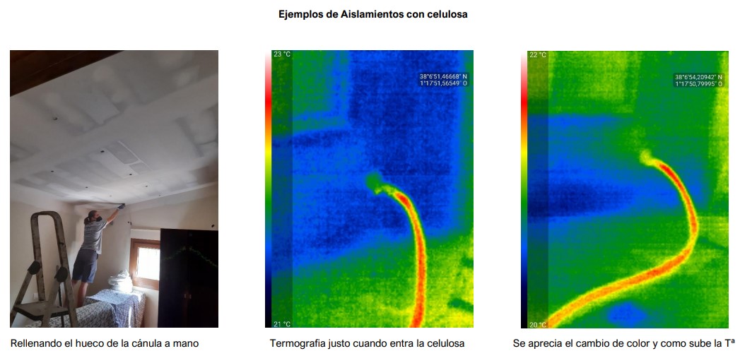 Ejemplos de la Celulosa